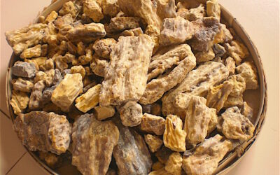 Frankincense – therapeutic properties