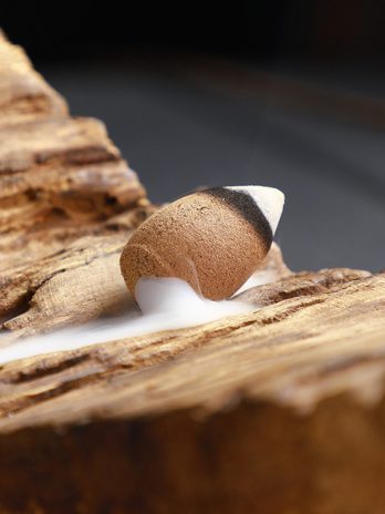 Incense Cones Pack 30/60/100 pcs Mixed Natural Aromas  Lavender Sandalwood Aloes and more